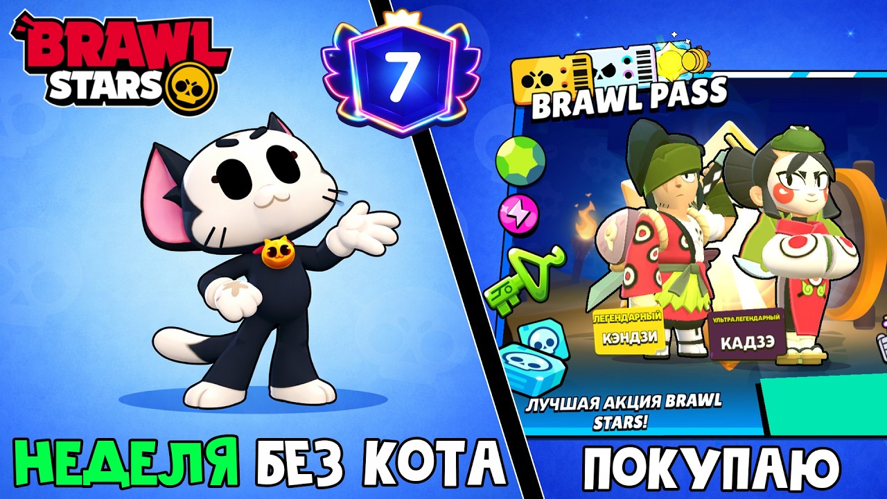 Купил БРАВЛ ПАСС и ВЫПАЛО ЭТО.. в игре Бравл Старс | Brawl Stars Supercell | НЕДЕЛЯ БЕЗ КОТА смотреть онлайн