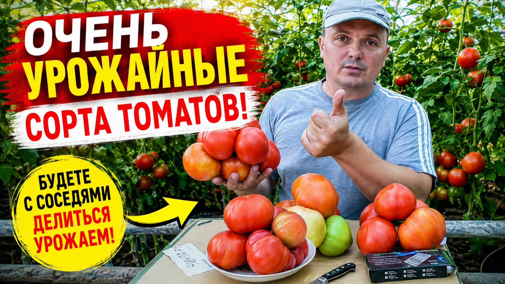 ТРИ очень урожайных сорта помидоров- обзор! смотреть онлайн