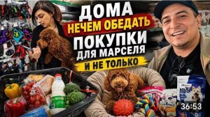 САМВЕЛ АДАМЯН, ДОМА НЕЧЕМ ОБЕДАТЬ, ПОКУПКИ ДЛЯ МАРСЕЛЯ И НЕ ТОЛЬКО..
