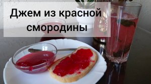 Джем из красной смородины на зиму