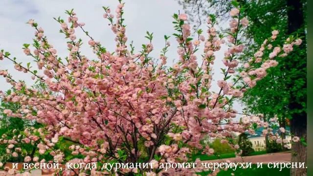 Патриотическая акция «Наш край, пачуй прызнанне ў любві!» смотреть онлайн