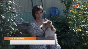 ДАВАЙТЕ ЖИТЬ ДРУЖНО (10.07)