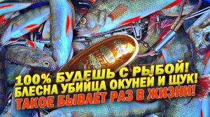 ТАКОЕ БЫВАЕТ РАЗ В ЖИЗНИ! ЭТО ЛУЧШАЯ БЛЕСНА НА ЩУКУ И ОКУНЯ 2026! РЫБАЛКА НА СПИННИНГ 2026