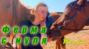 Новый козлик приехал жить на ферму / Коллективное занятие / Конкурный клуб / Ферма с нуля серия75