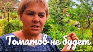 Ремонт продолжается.Покрасила потолок пережоху на окна.