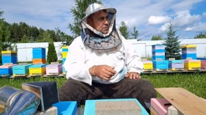 Обо всем понемногу. 20 июня 2026 г.