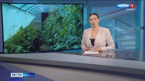 Эфир от 09.07.2026 (21:10)