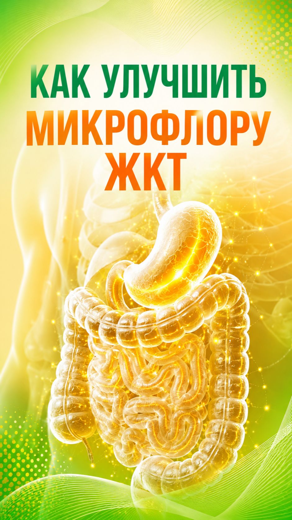 Как улучшить микрофлору ЖКТ
