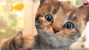 ПРИКЛЮЧЕНИЕ МАЛЕНЬКОГО КОТЕНКА мультфильм про котят мультики для детей и малышей веселый