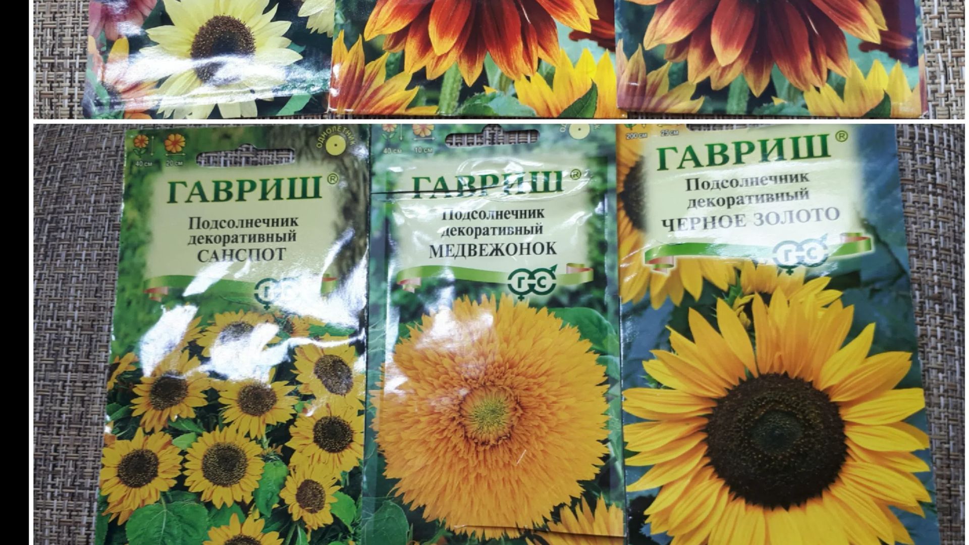 Декоративный  подсолнечник.