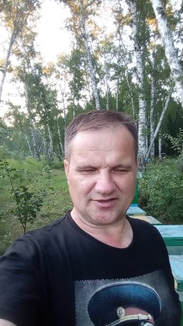 8 июля 2026 года пасека на лесном взятке