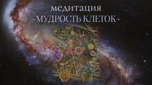 Медитация ~ «Мудрость клеток» /САМАДХИ/
