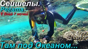 Сейшельская регата. Коралловые сады Гранд Сёр. (День 7)