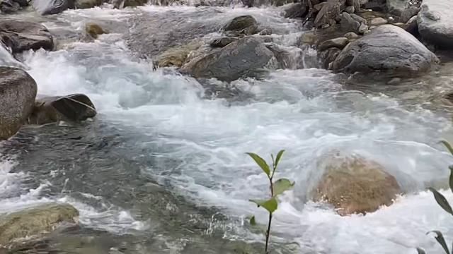 Аршан/Звук Горной Реки