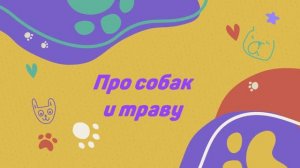 Такса Алиса на выпасе. Про собак и траву