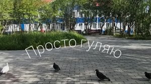 прогулка утренняя