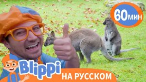 Песня Мы Изучаем Дикую Природу _ Изучай этот мир вместе с Блиппи _ Обучающие песенки