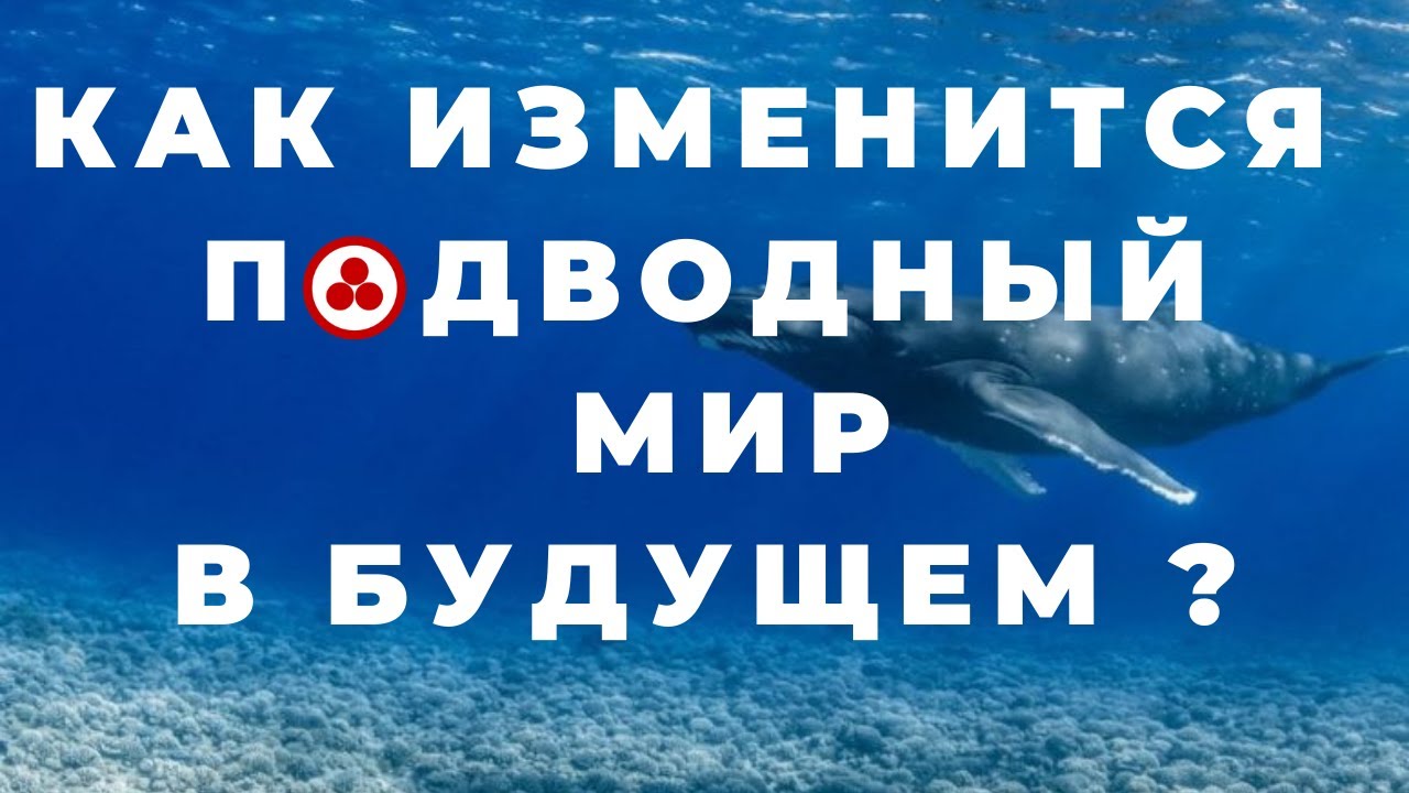 Химический состав мирового океана будет значительно изменен | 2100 - е годы смотреть онлайн