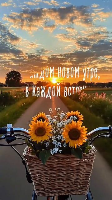пьём свой кофе потому что смотреть онлайн