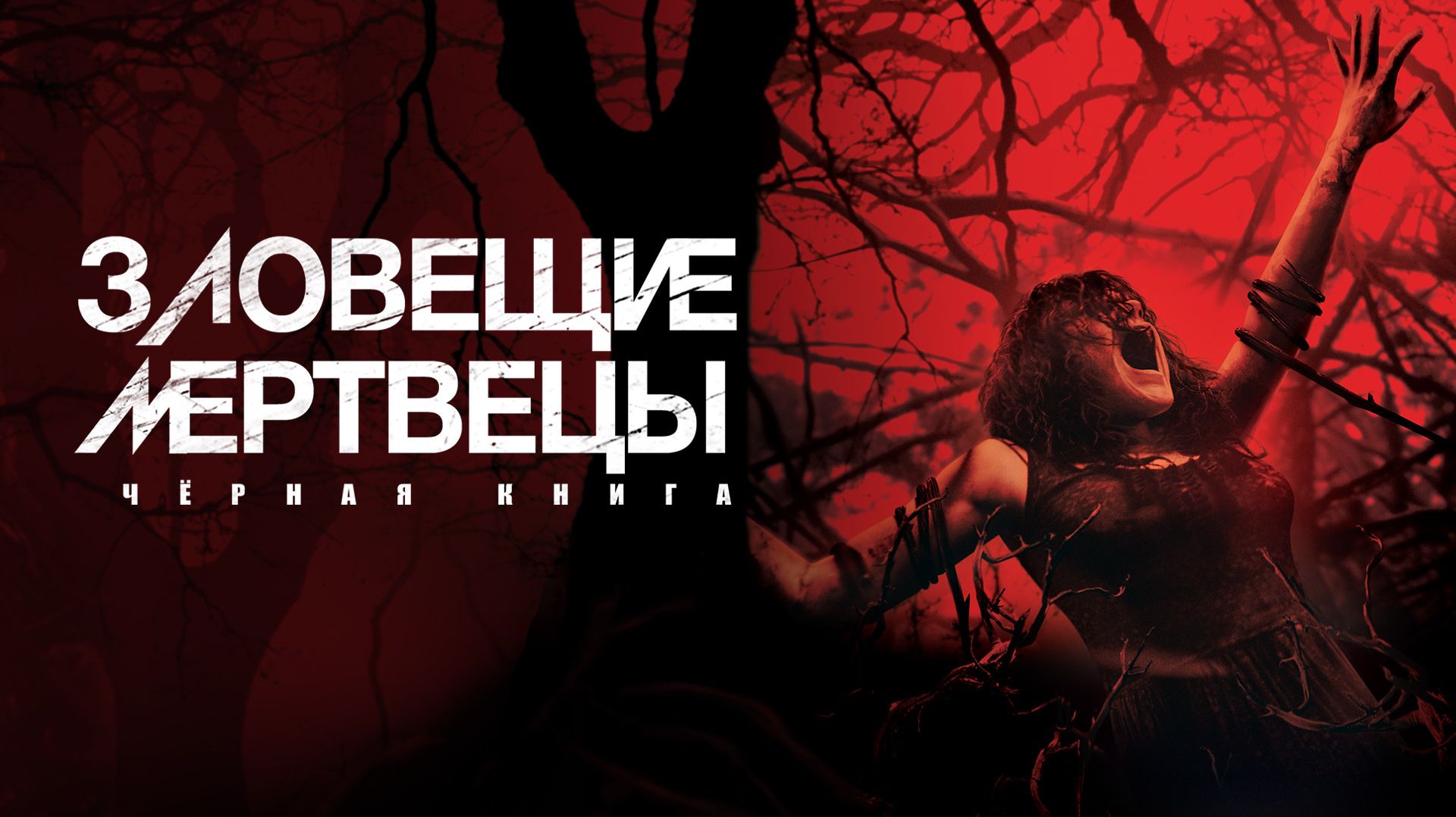 Зловещие мертвецы: Черная книга (2013) / Evil Dead (расширенная версия) смотреть онлайн