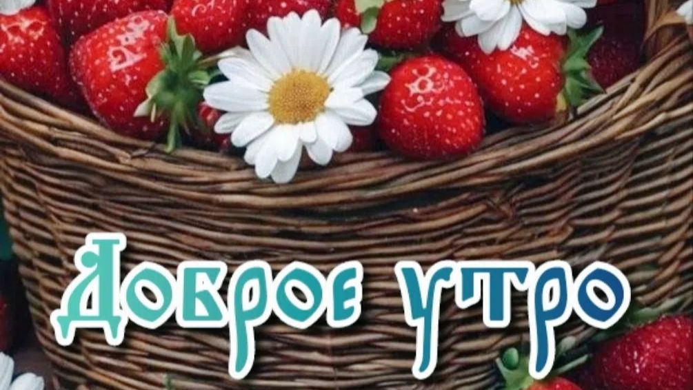 УТРЕННЯЯ ПОЧТА! НА ПИКЕ ЛЕТА! ВАСЕВСКИЕ ТРЕЩАТ В АДЛЕР смотреть онлайн