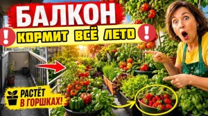 Не сажайте цветы! Вот что должно расти на балконе!