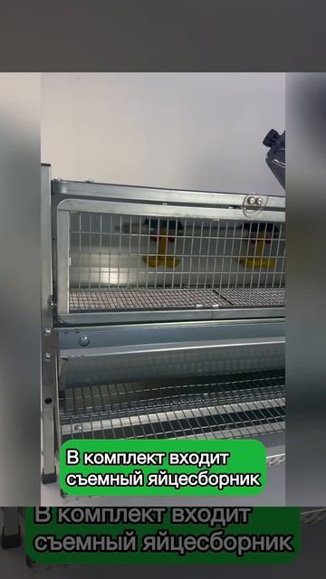 Рамная клетка 2 в 1 для перепелов мясных и яичных пород система "Антизапах" 0750 Стандарт