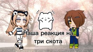 Наша реакция☕ на три 😝скота. гача.