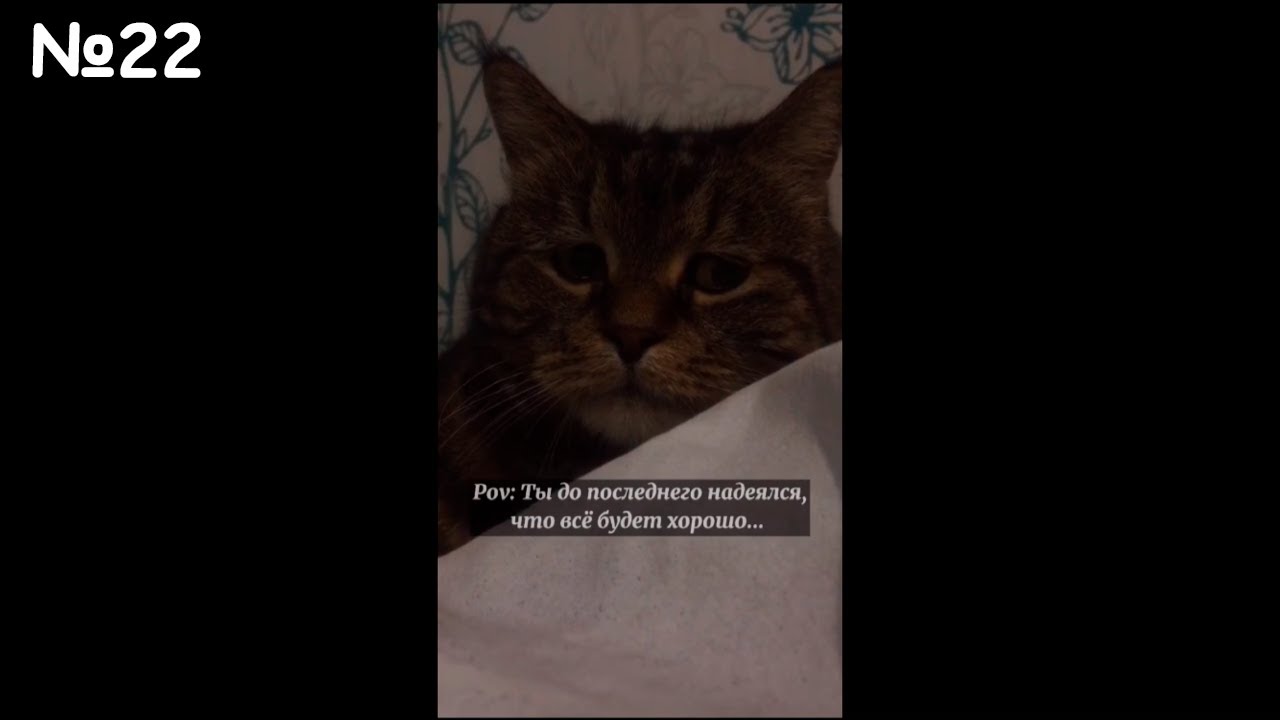 Грустные видео из тик ток | со смыслом про любовь смотреть онлайн