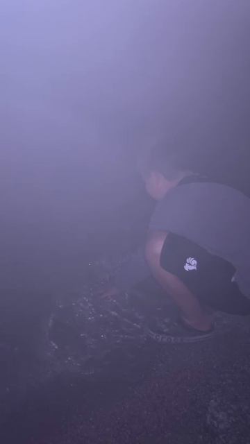 отпускаю рыбу домой в воду #shorts