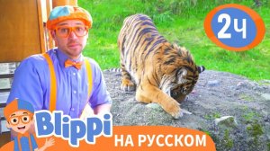 Блиппи идёт в зоопарк _ Изучай этот мир вместе с Блиппи _ Обучающие видео для детей