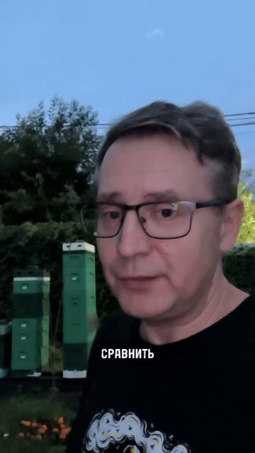 Медовый ветер