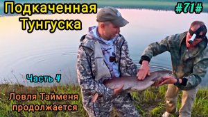 Ловля Тайменя продолжается на Подкаменной Тунгуске. Часть 4