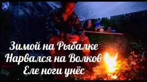 Зимой на Рыбалке,Нарвался на Волков, еле ноги унёс.