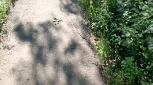 Утренние анекдоты