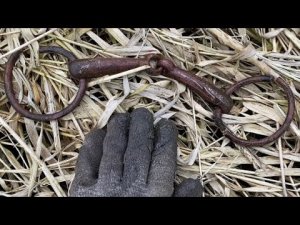 ПОЛИЦИЯ ПРИЕХАЛА НА КОП ПО ВОЙНЕ! WW2 METAL DETECTING
