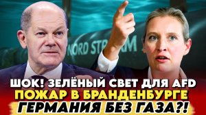 ГЕРМАНИЯ поворотный момент: Сообщения Afd Пугают, Экстренные Новости