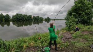 ОТЛИЧНАЯ РЫБАЛКА С ЖЕНОЙ НА ДОНКИ ФИДЕР. РЫБАЛКА НА КАРАСИНОМ ОЗЕРЕ.