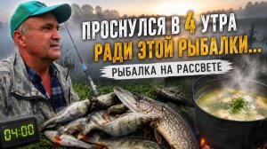 Проснулся в 4 утра ради этой рыбалки. Рыбалка на рассвете.