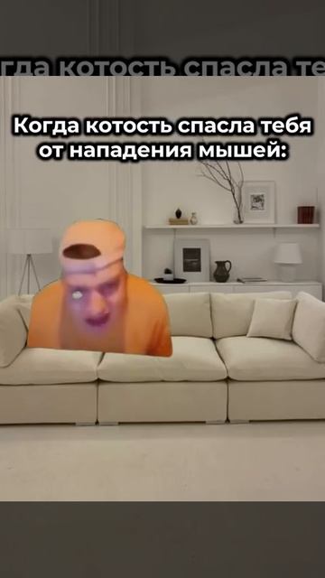 Котость