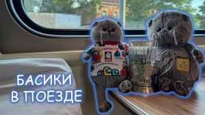 Басики в поезде 🐈🚂 Путешествие на поезде с котиками Басиками