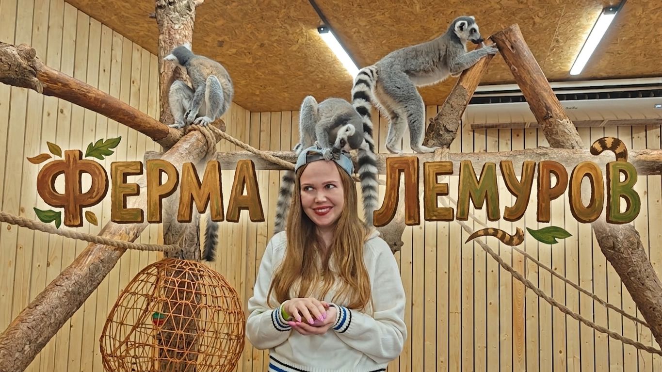 ФЕРМА ЛЕМУРОВ В АРХЫЗЕ смотреть онлайн