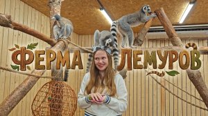 ФЕРМА ЛЕМУРОВ В АРХЫЗЕ