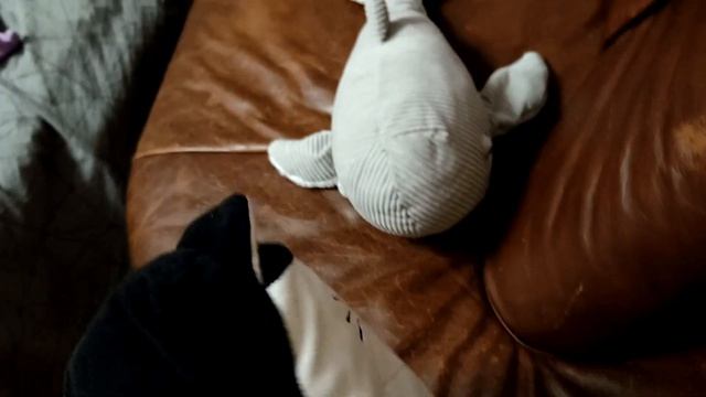 странные истории про плюшевых игрушек (ПИЛОТ) смотреть онлайн