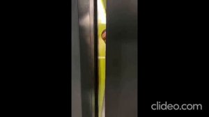 Руслан Гительман  в лифте