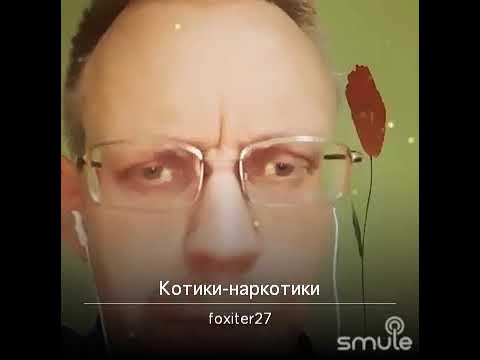 МЁРТВЫЕ ДЕЛЬФИНЫ - "Котики-наркотики" смотреть онлайн