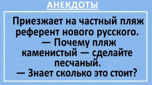 Приезжает на частный пляж референт нового русского... | Анекдоты смешные | Юмор
