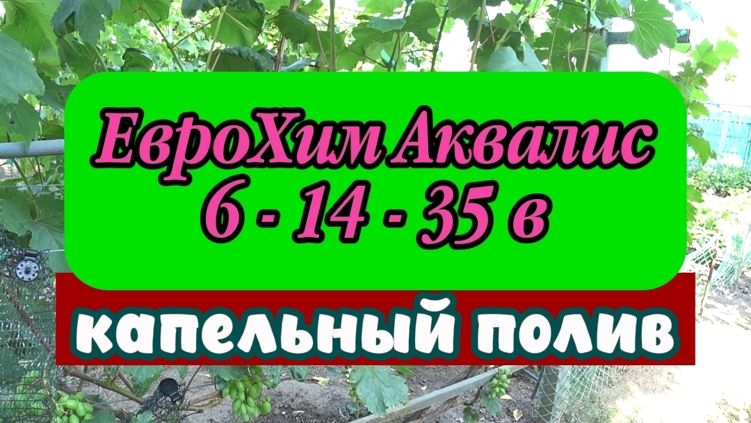 ЕвроХим Аквалис 6-14-35 в капельный полив - просто необходим для созревания урожая смотреть онлайн