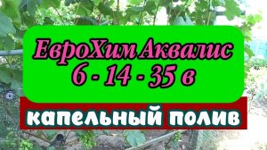 ЕвроХим Аквалис 6-14-35 в капельный полив - просто необходим для созревания урожая
