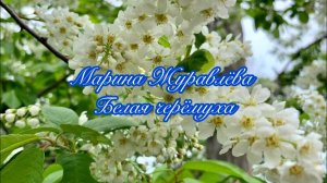 Марина Журавлёва - Белая Черёмуха (Текст)